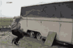 ab708495362cba3bd31b7000[1].gif
