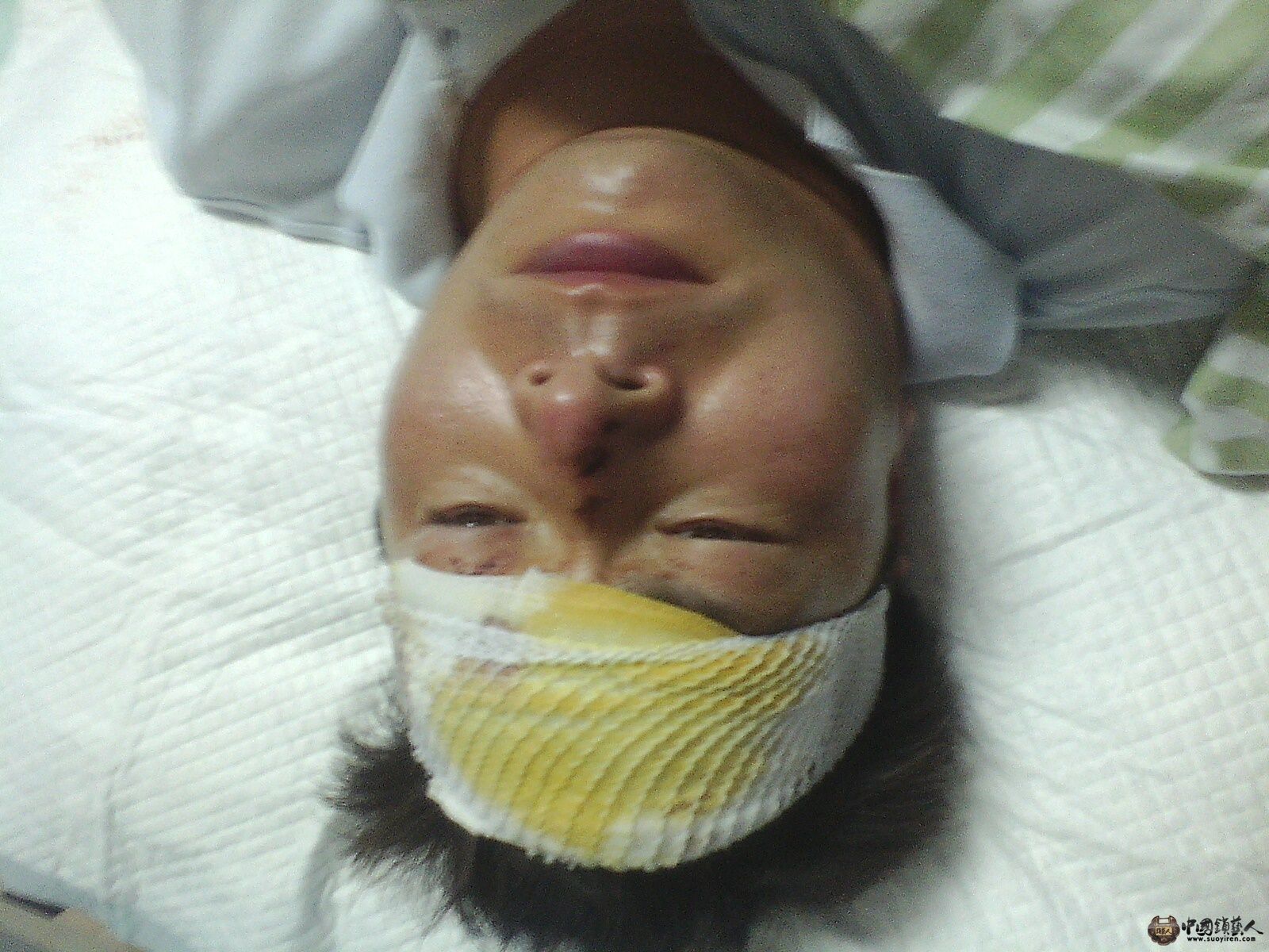 IMG0827194501.jpg