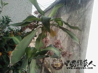 SP_A0216.jpg
