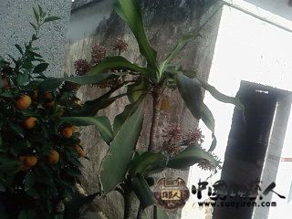 SP_A0222.jpg