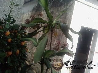 SP_A0225.jpg