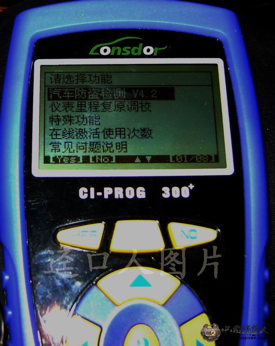 DSC08988.JPG