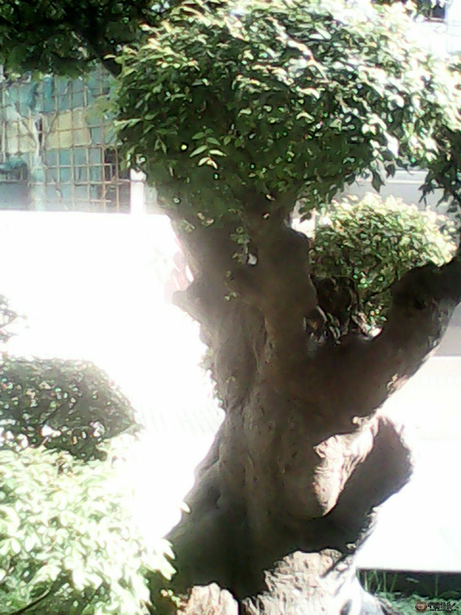 IMG_20130520_163400887.jpg