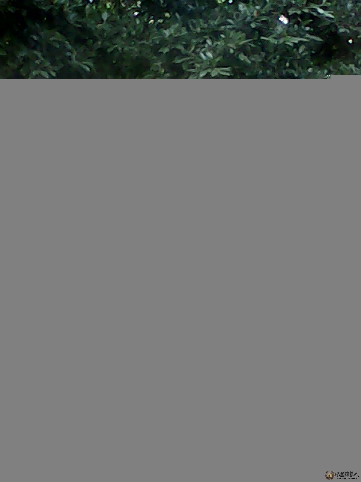 IMG_20130520_163558277.jpg