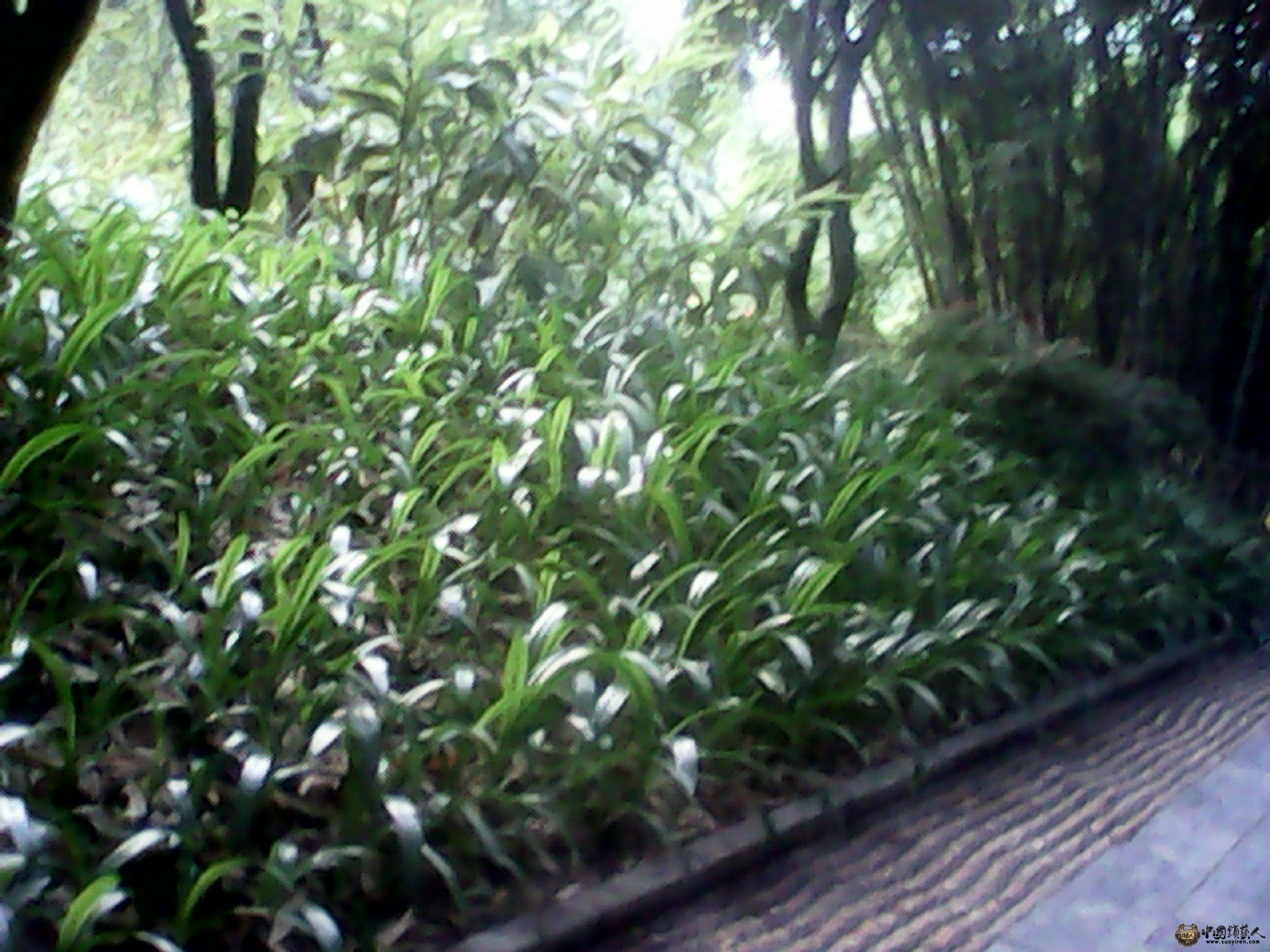 IMG_20130520_185417973.jpg