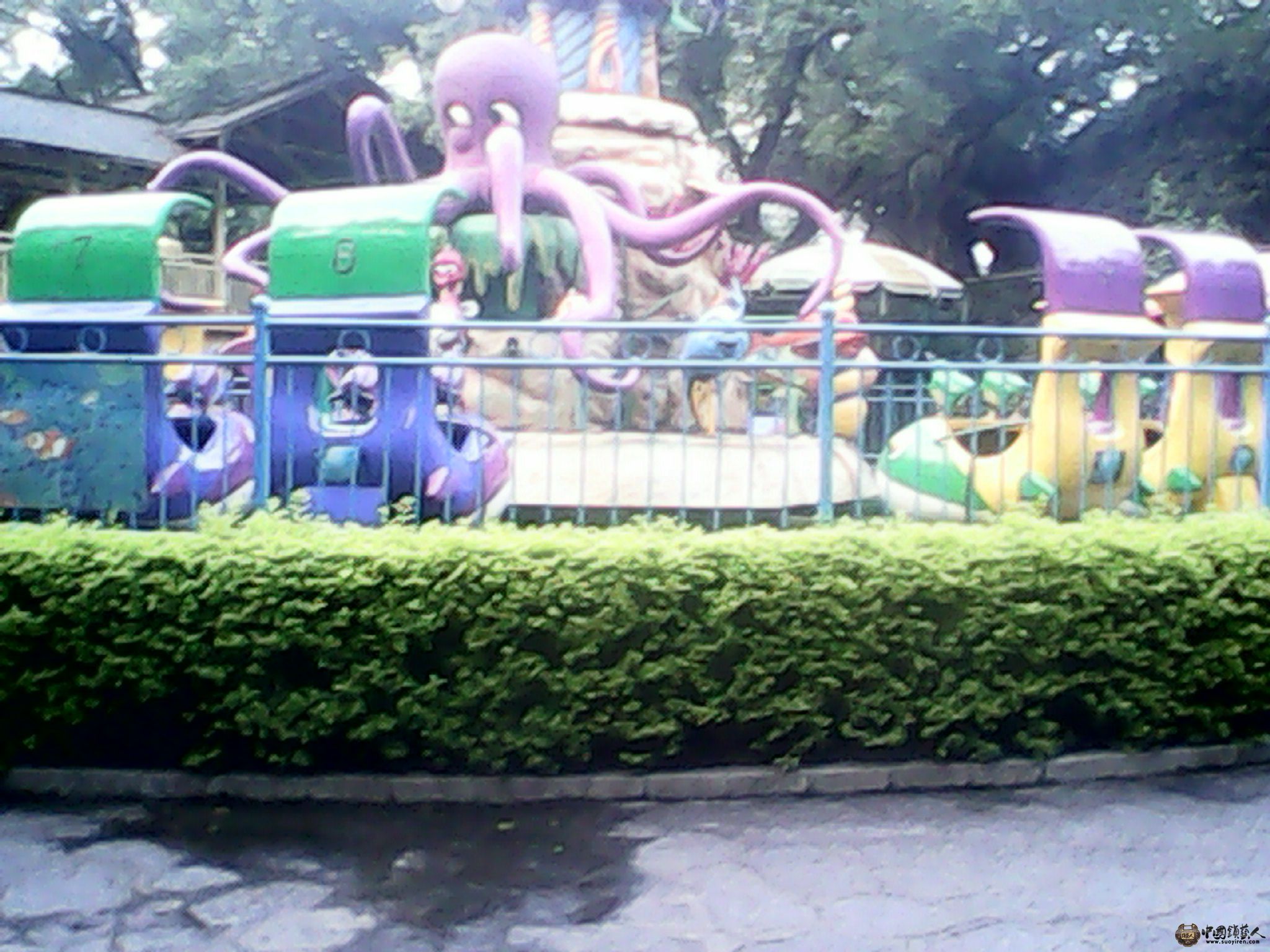 IMG_20130520_185512054.jpg