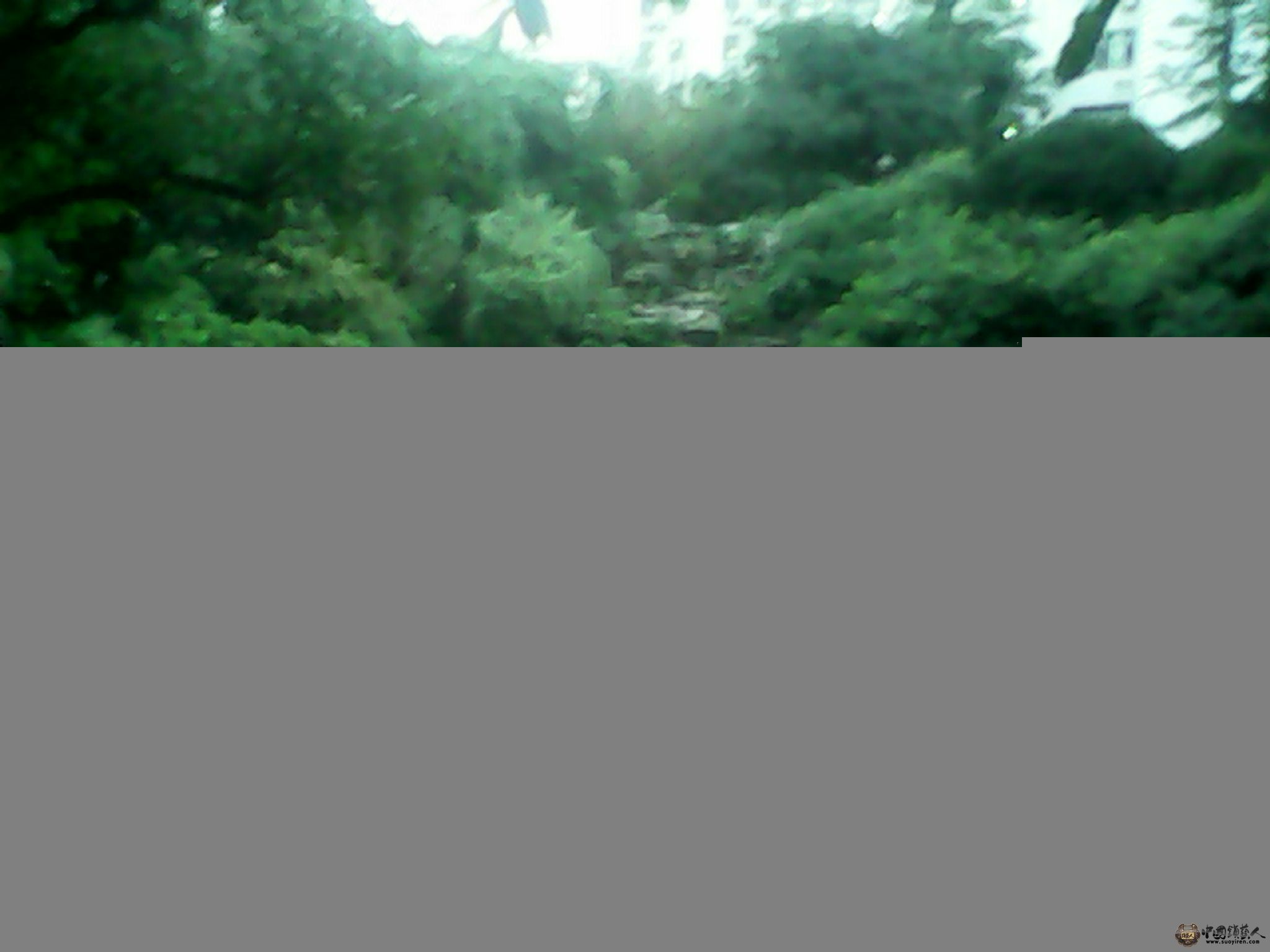 IMG_20130520_192214291.jpg