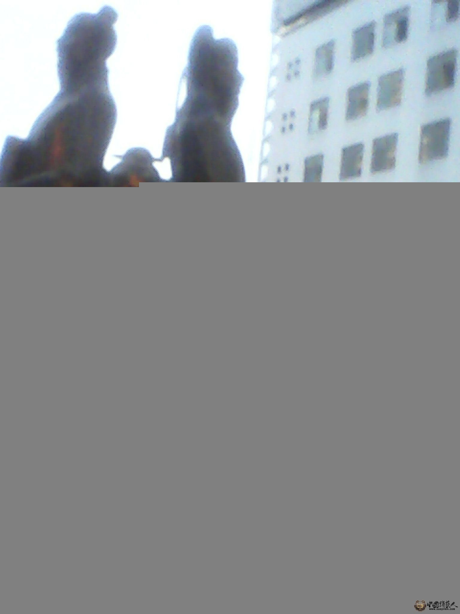 IMG_20130520_192711584.jpg