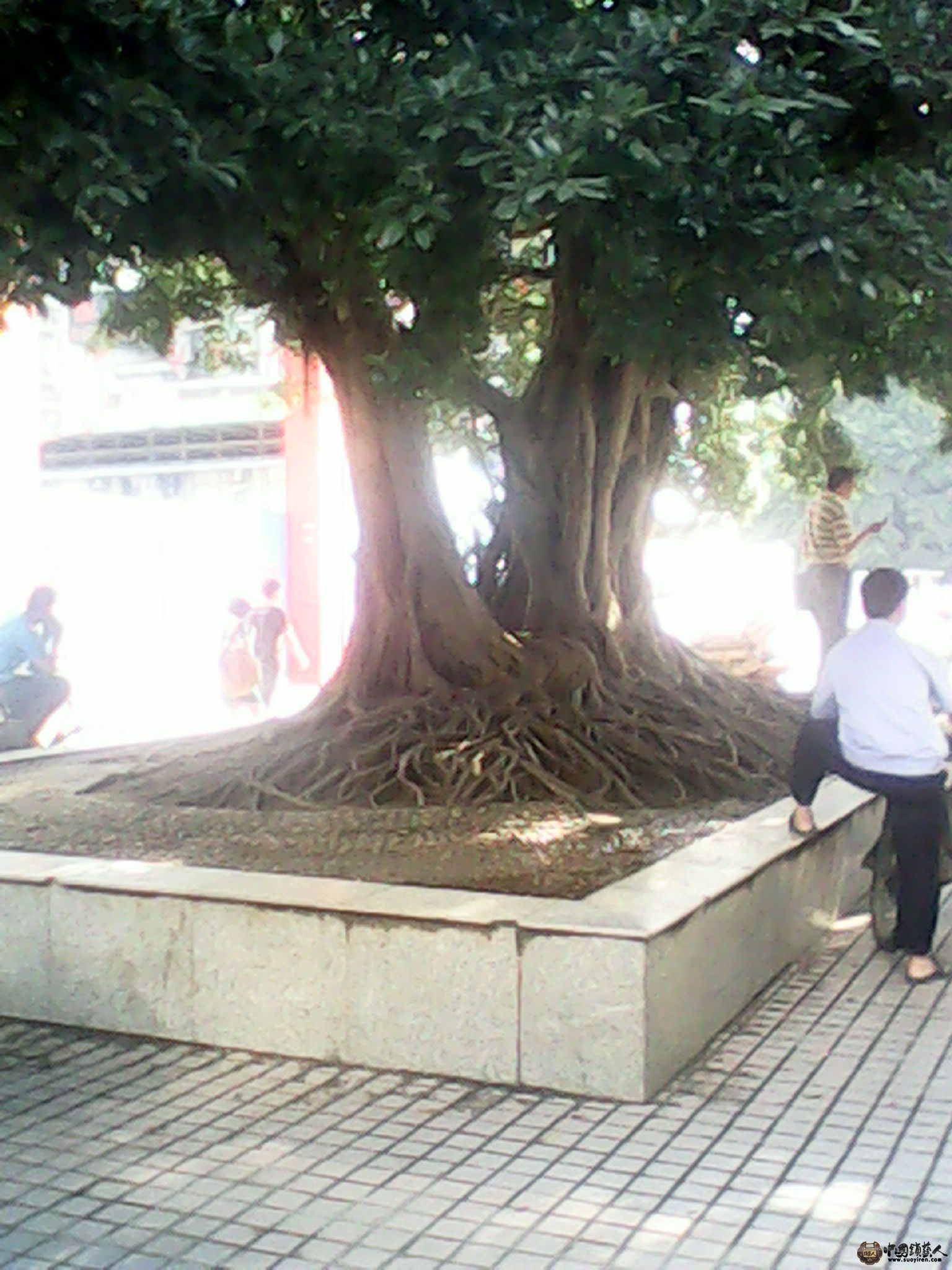 IMG_20130520_163558277.jpg