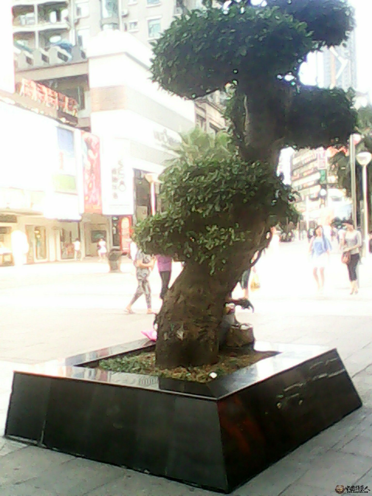 IMG_20130520_165319651.jpg