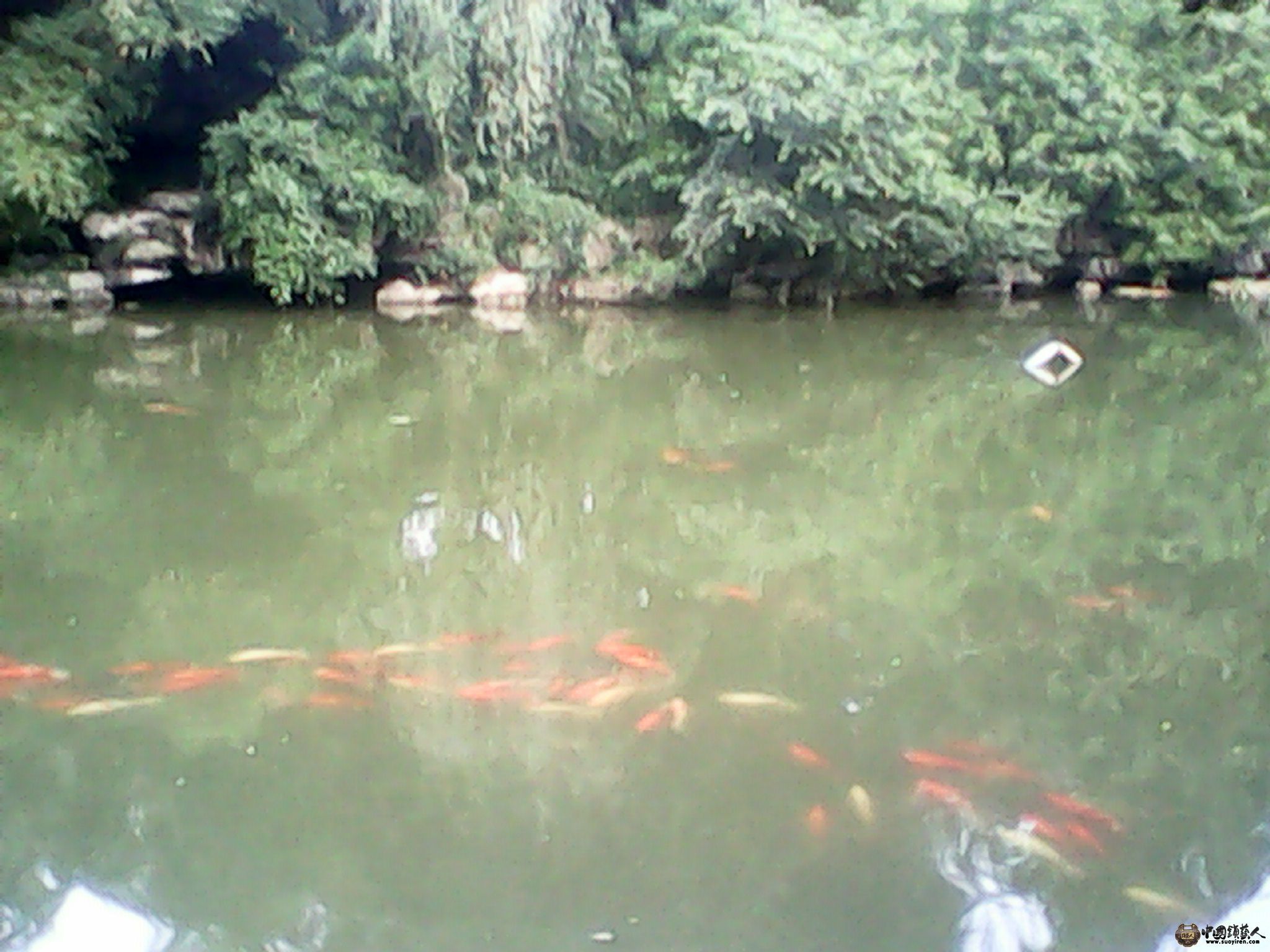 IMG_20130520_185125947.jpg