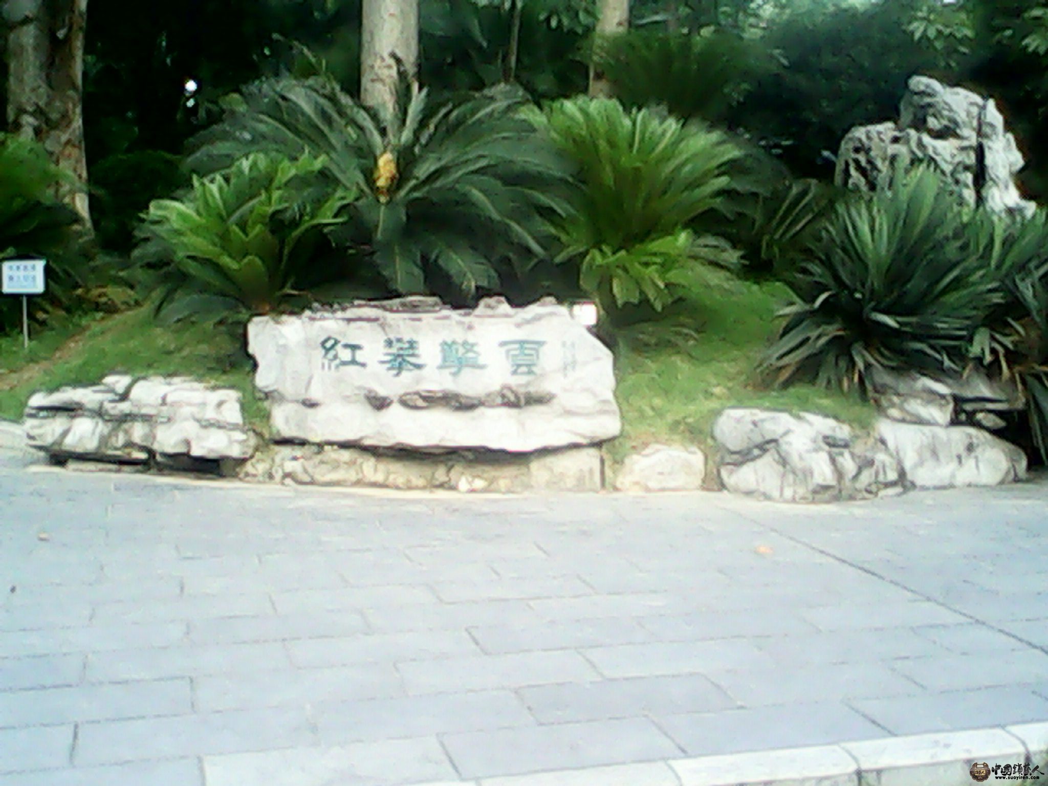 IMG_20130520_185307304.jpg