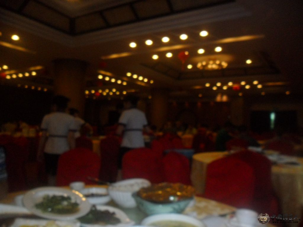 SAM_0868.JPG