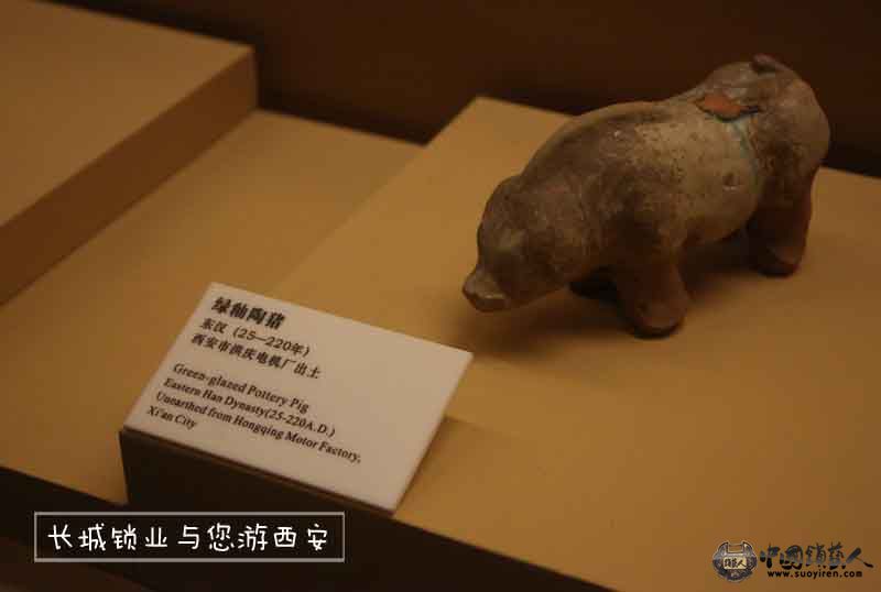 照片 146-.jpg