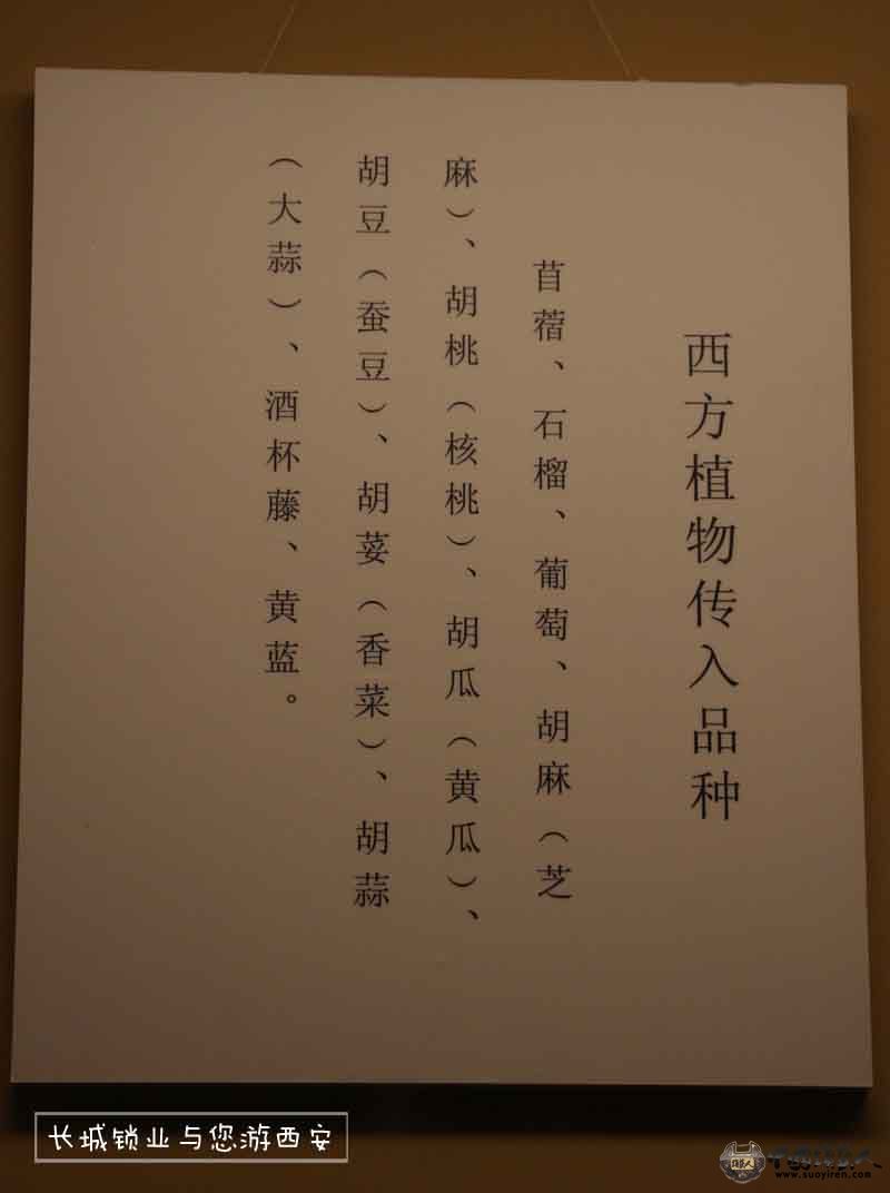 照片 156-.jpg