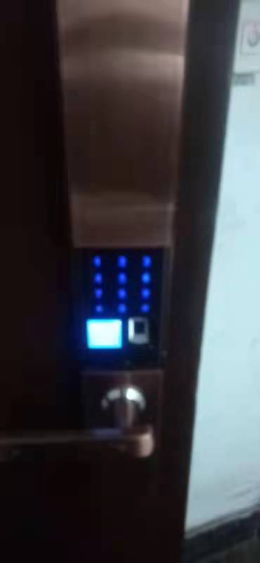 mmexport1611010984619.jpg